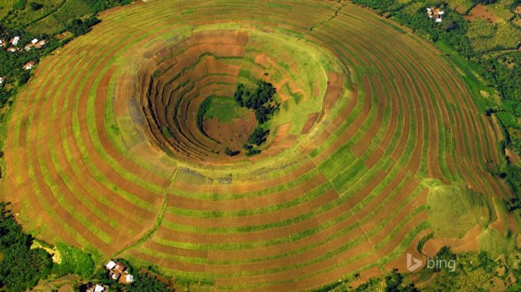 el-autocomplete修改下拉框宽度