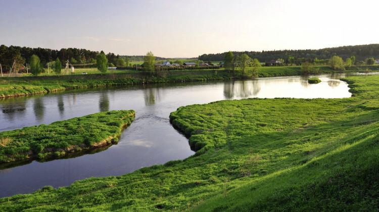 vue中 使用md5加密